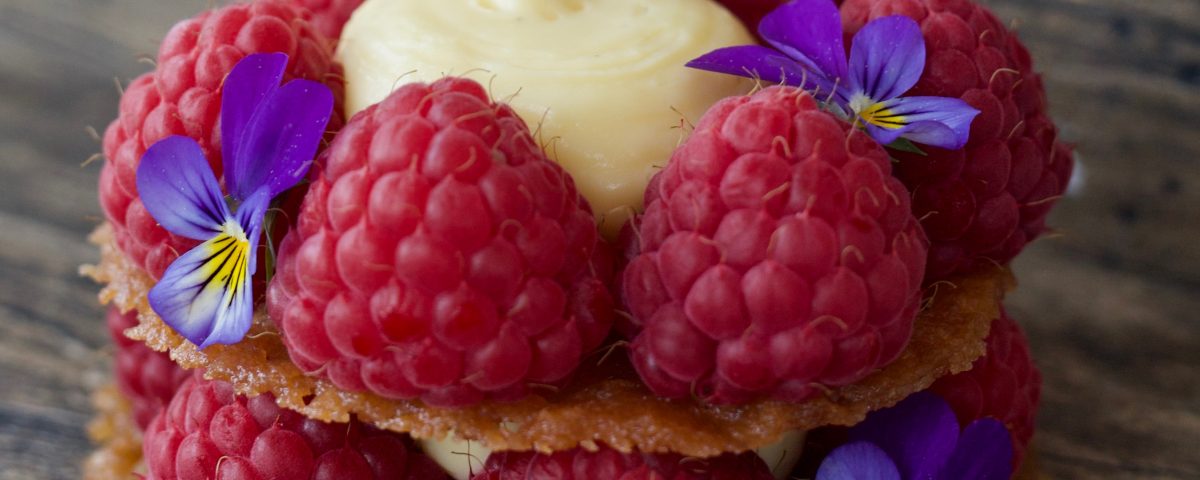 Bringebærdessert Losby Gods