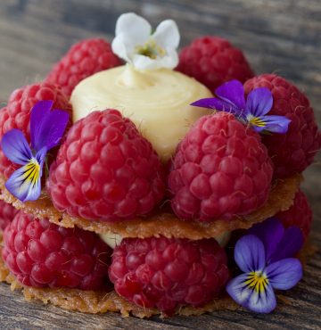 Bringebærdessert Losby Gods